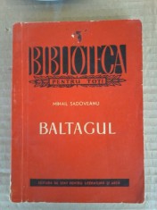 Mihail Sadoveanu - Baltagul