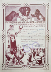 Diploma premiul I la Expozitia Nationala Canina, Bucuresti, 1938 foto