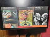 3 vol. Cotidianul Enciclopedica (Freud, Primele religii, Aborigenii australieni)