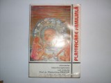 Cumpara ieftin Planificarea Familiala Elemente Interdisciplinare - Florentina Pricop , 20747