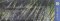 Deep Forest - Pacifique + 7 Bonus Tracks, CD - 9