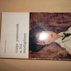 Andre Salmon - Viata pasionata a lui Modigliani