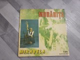 Morarita - Mirabela Dauer