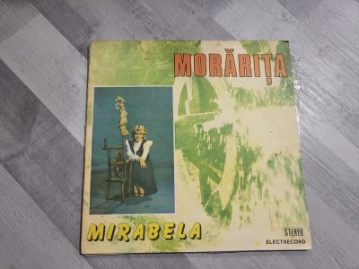 Morarita - Mirabela Dauer foto