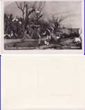 Expozitia Berlin 1937-Expo, Pavilionul Romaniei de vanatoare