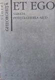 ET EGO SARATA PITESTI GHERLA AIUD 1994 VIOREL GHEORGHITA 328 PAG DETINUT POLITIC INCHISORI COMUNISTE DETENTIE POLITICA REEDUCARE LEGIONAR LEGIONARI