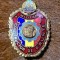 Insigna Militar Constructor de Frunte Rar