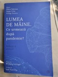 Olivia Toderean - Lumea de maine. Ce urmeaza dupa pandemie?