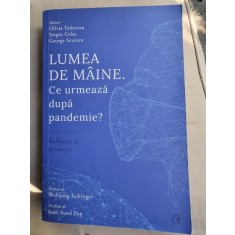 Olivia Toderean - Lumea de maine. Ce urmeaza dupa pandemie?