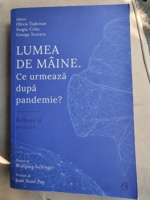 Olivia Toderean - Lumea de maine. Ce urmeaza dupa pandemie? foto