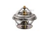 FEBI BILSTEIN 172077 termostat,lichid racire