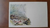 Carte postala, Baile Herculane, inceput de secol XX