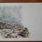 Carte postala, Baile Herculane, inceput de secol XX
