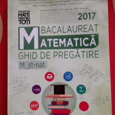 MATEMATICA GHID DE PREGATIE BACALAUREAT MAGDAS ,MURESAN ,FEDOARCA