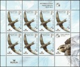 Belarus 2012 - Păsări, minicoala neuzata