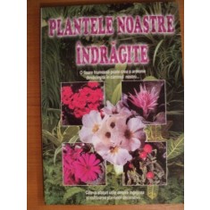 PLANTELE NOASTRE INDRAGITE,