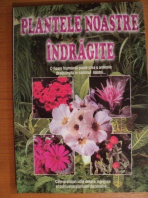 PLANTELE NOASTRE INDRAGITE, foto