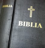 BIBLIA SAU SFANTA SCRIPTURA REPRODUCE EDITIA 1988 TIPARITA CU BINECUVANTAREA PF TEOCTIST SI APROBAREA SF. SINOD
