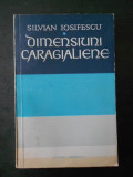 SILVIAN IOSIFESCU - DIMENSIUNI CARAGIALIENE