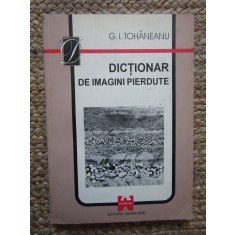 DICTIONAR DE IMAGINI PIERDUTE de G.I. TOHANEANU 1995