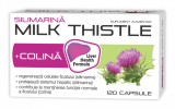 Silimarina Milk Thistle + Colina, 120 capsule, Zdrovit