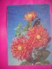 HOPCT 11417 DALII RUSIA -CP FELICITARE FLORI- -NECIRCULATA, Printata
