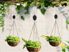 Scripete pentru plante suspendate foto