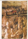 RF87 - Carte Postala - Pestera Ursilor, Chiscau ( Bihor ), necirculata