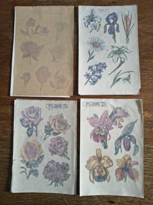 Lot 6 planse cu sibebilduri vintage cu flori, caini si figuri din desene animate / C1DP foto