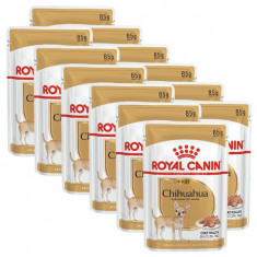 ROYAL CANIN ADULT CHIHUAHUA 12 x 85 g - pungă