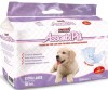 Scutec &amp; pampers chilot 12 buc/set XL
