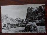 CPIB 23392 CARTE POSTALA - MUNTII APUSENI, RPR, NECIRCULATA