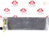 Intercooler Renault Megane II