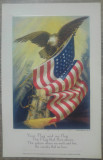 Carte postala de propaganda WWI// SUA, Necirculata, Printata