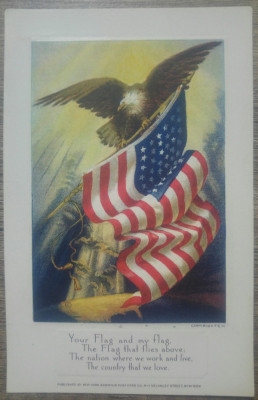 Carte postala de propaganda WWI// SUA foto