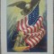Carte postala de propaganda WWI// SUA