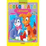 Căţeluşii. Bestseller. Editia a 4-a