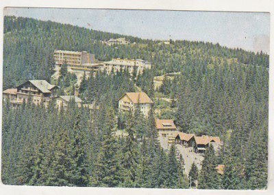 bnk cp Paltinis - Vedere generala - circulata foto