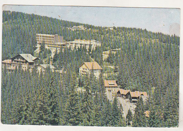 bnk cp Paltinis - Vedere generala - circulata