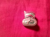 Insigna Moldova Sovietica 1956 - Sport - Spartakiada , dim. =1,7x1cm , metal si email