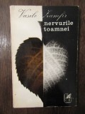 NERVURILE TOAMNEI -VASILE ZAMFIR