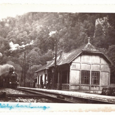 2331 - VADU CRISULUI, Bihor, Railway Station - old PC, real PHOTO - used - 1940