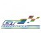 Sticker Lexus Performance , Autocolant Sport pentru Masinile Tuning