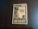 CRUZIMILE TARULUI - Lew Tolstoi - Caminul No. 220-225, 341 p.