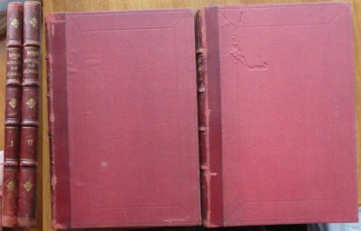 C. A. Rosetti, Scrieri din junete si esiliu, 1885, 2 volume, legate cartonat cu cotor piele foto