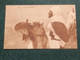 Arabia Saudita 1914 - in desert