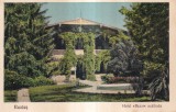 Buzias. Hotel Bazar (necirculata, 1927)