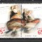 Polonia.1998 50 ani ansamblul de dansuri &quot;Mazowsze&quot;-pereche MP.337