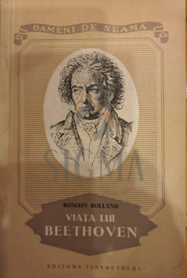 Viata lui Beethoven foto