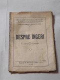 Pr.ANTON I.POPESCU - DESPRE INGERI Ed.1945